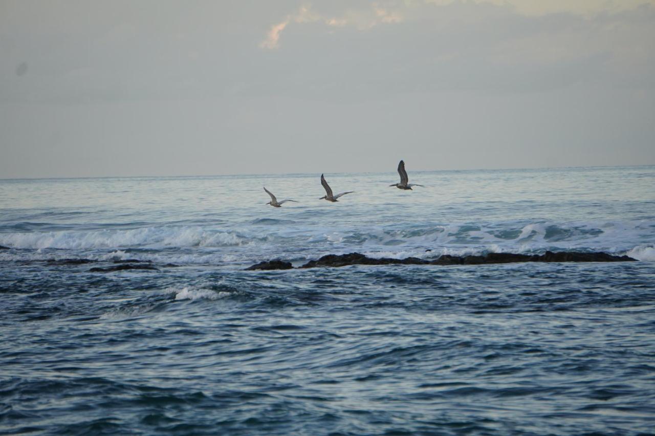 Playa Santa Teresa  Hotel Santa Teresa By The Beach מראה חיצוני תמונה